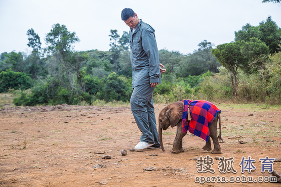 姚明携手小贝在温布利拍广告 呼吁保护野生动物