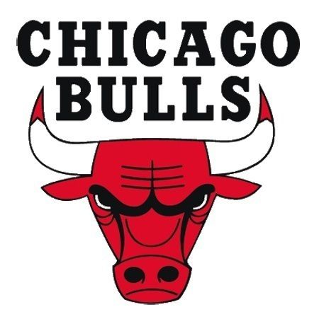 芝加哥公牛队